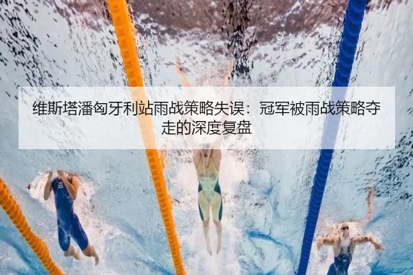 wei-si-ta-pan-xiong-ya-li-zhan-yu-zhan-ce-lve-shi-wu-guan-jun-bei-yu-zhan-ce-lve-duo-zou-de-shen-du-fu-pan-2-306.jpg