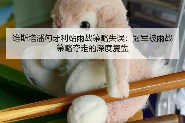 维斯塔潘匈牙利站雨战策略失误：冠军被雨战策略夺走的深度复盘